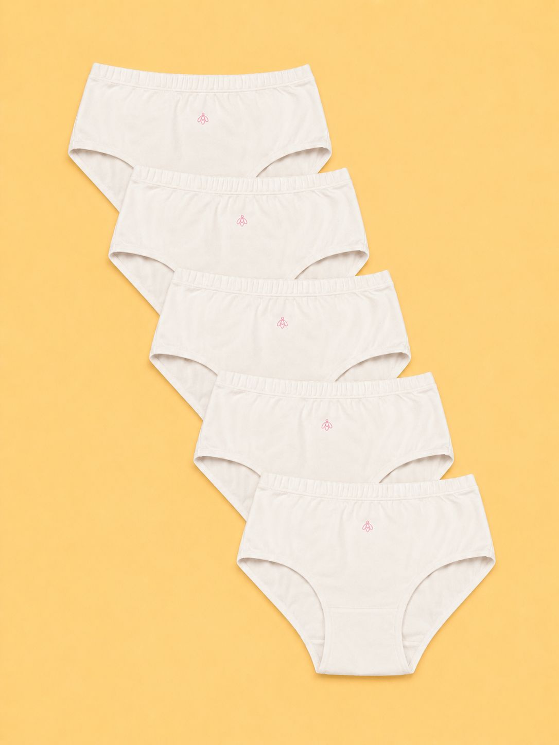 5 Pack Calzones